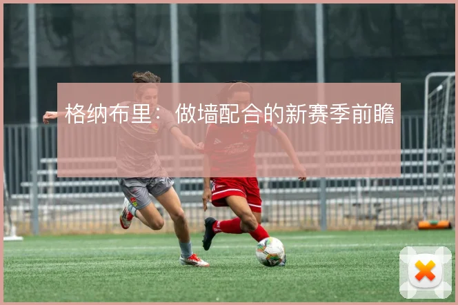 格纳布里：做墙配合的新赛季前瞻