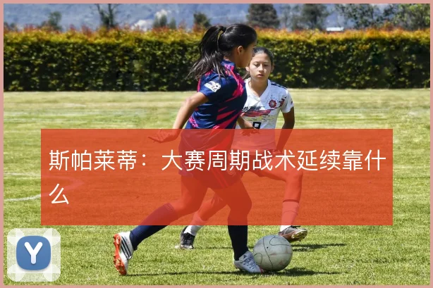 斯帕莱蒂：大赛周期战术延续靠什么